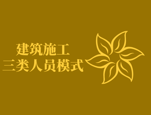 建筑施工三类人员模式